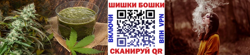 дарнет шоп  Новоржев  Canna-Cookies марихуана 