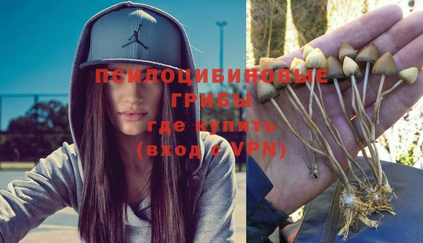 ECSTASY Верхний Тагил
