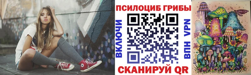 Псилоцибиновые грибы Psilocybine cubensis Новоржев